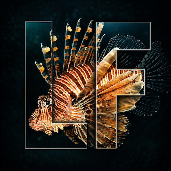 Lionfish Consulting logo